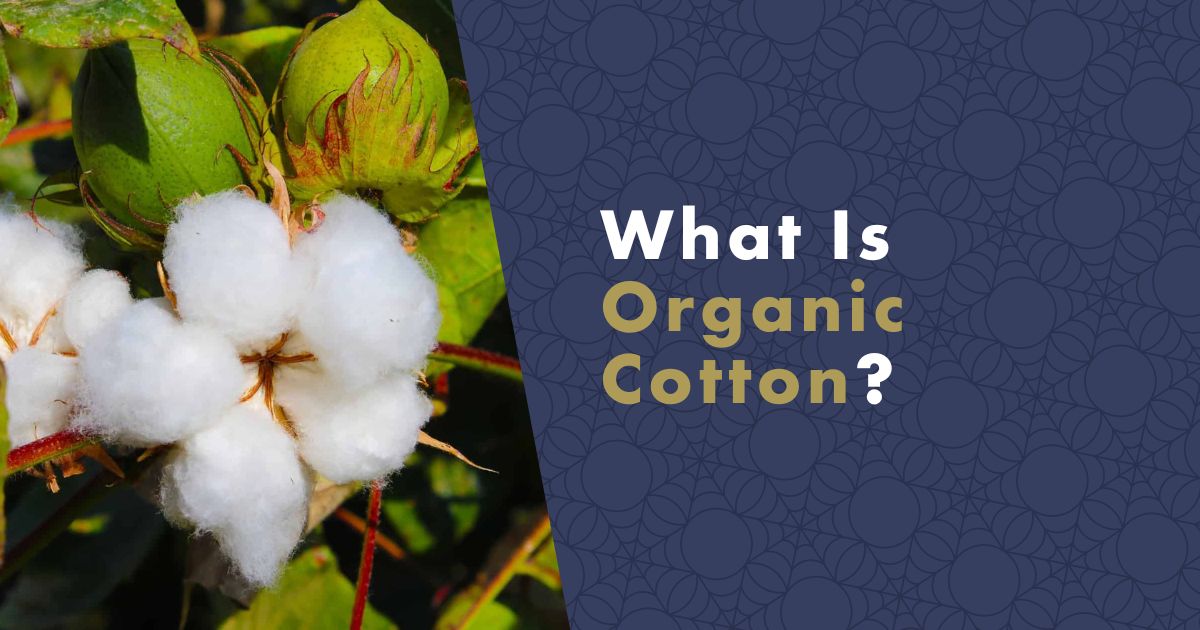 What is Organic Cotton-fb